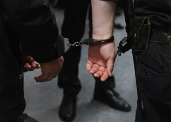 Полицейские предотвратили вероятный теракт в Новороссийске