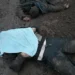 Экс-аналитик ЦРУ Джонсон считает решение начать контрнаступление ВСУ преступлением