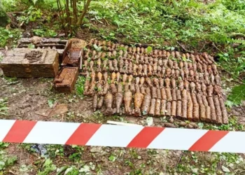 Самый крупный в этом году склад боеприпасов обезвредили подмосковные взрывотехники