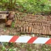 Самый крупный в этом году склад боеприпасов обезвредили подмосковные взрывотехники