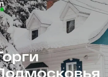 В Подмосковье за неделю на торги выставили сорок четыре объекта