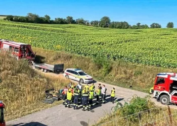 В Австрии перевозивший украинскую семью с маленькими детьми микроавтобус рухнул с моста, погибли четыре человека