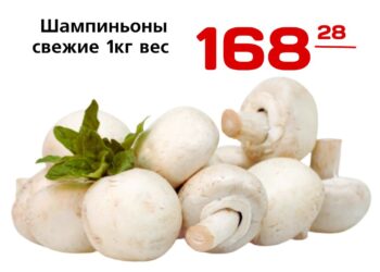Шампиньоны свежие 1кг вес, Агрогриб Россия