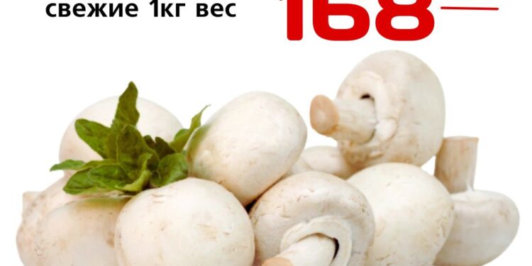 Шампиньоны свежие 1кг вес, Агрогриб Россия