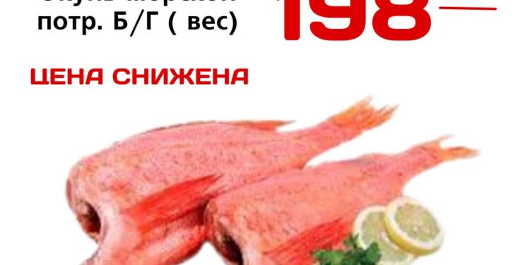 АКЦИЯ ЦЕНА СНИЖЕНА  Окунь морской потр. БГ вес
