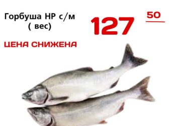 АКЦИЯ ЦЕНА СНИЖЕНА  Горбуша НР см вес