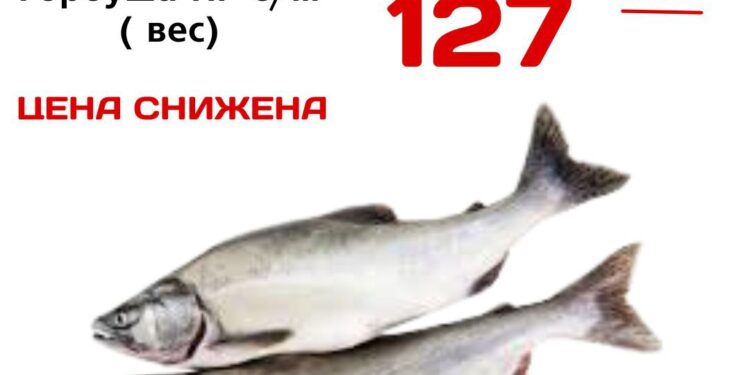 АКЦИЯ ЦЕНА СНИЖЕНА  Горбуша НР см вес
