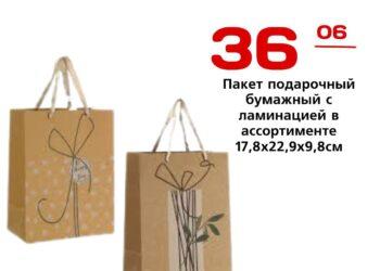 Пакетподарочныйбумажный с ламинацией вассортименте 17,8×22,9×9,8см