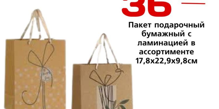 Пакетподарочныйбумажный с ламинацией вассортименте 17,8×22,9×9,8см