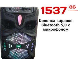 Колонка караоке Bluetooth 5,0 с микрофоном