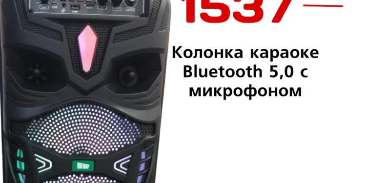 Колонка караоке Bluetooth 5,0 с микрофоном