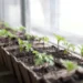 Председатель Союза дачников Подмосковья Чаплин назвал работы, которые можно уже выполнять на участке