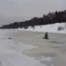 В Подмосковье спасли собаку по кличке Умка, которая провалилась под лед