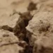 «Страна.UA»: в обмелевшее после взрыва дамбы Каховское водохранилище начала возвращаться вода