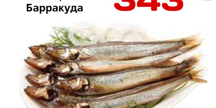 Мойва хк вес. Барракуда