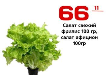 салат свежий фрилис 100 гр, салат афицион 100гр