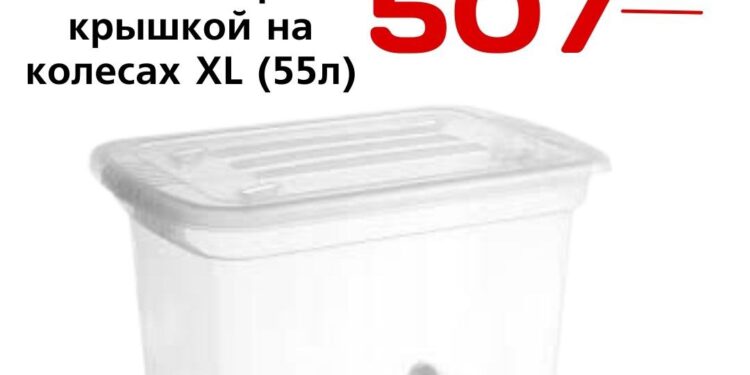 Контейнер с крышкой на колесах XL 55л