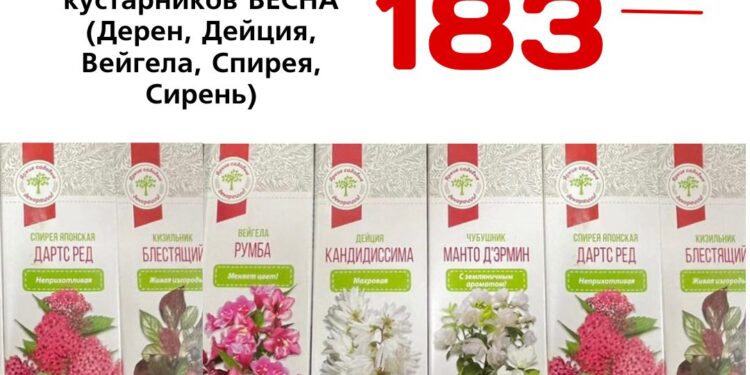 Саженцы декоративных кустарников ВЕСНА Дерен, Дейция, Вейгела, Спирея, Сирень