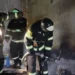 Пятнадцать кроликов и пять котят спасли при пожаре в частном доме в Подмосковье
