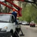 Сезон опиловки сухостойных деревьев стартовал в Подмосковье