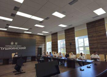 Глава горокруга Пушкинский рассказал о капитальном ремонте четырех важных объектов