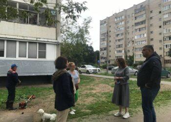 Замглавы Пушкинского горокруга проверила содержание двора в Правдинском