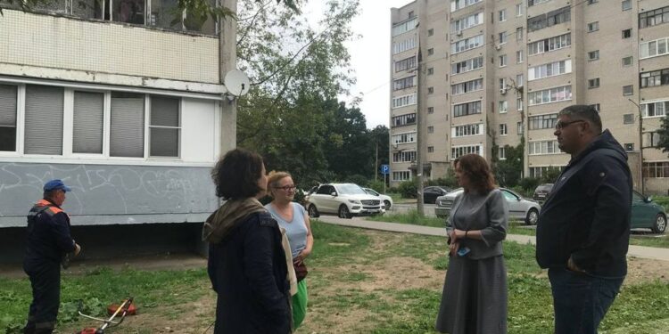 Замглавы Пушкинского горокруга проверила содержание двора в Правдинском