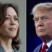 AP: Харрис побеждает в штате Вашингтон, Трамп лидирует в Айдахо