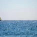 ПВО сбила над акваторией Черного моря четыре украинских беспилотника