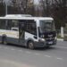 «Мострансавто» напомнило пассажирам о правилах перевозки животных в автобусах