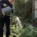 «Серебряное цунами»: к 2030 году каждый четвертый житель России будет пенсионером