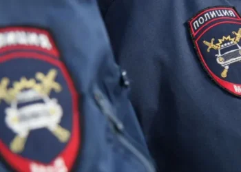 Два рейсовых автобуса попали в ДТП на Савушкина в Петербурге