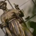 Суд Нальчика отправил в колонию на 9,5 лет бывшего главу банка
